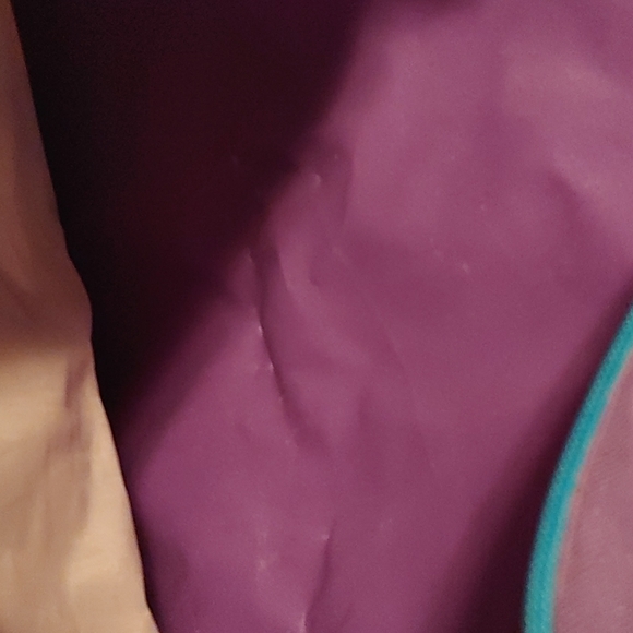 3/$25 DISNEY Frozen waterproof shoulder bag - Picture 11 of 12